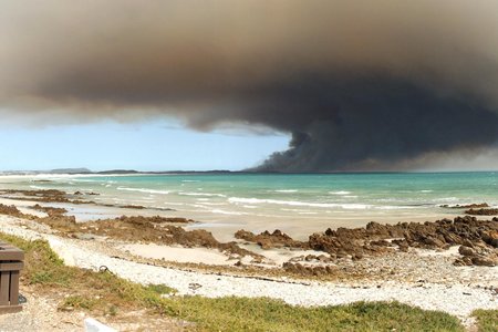 (Foto's: Monica Hayes)